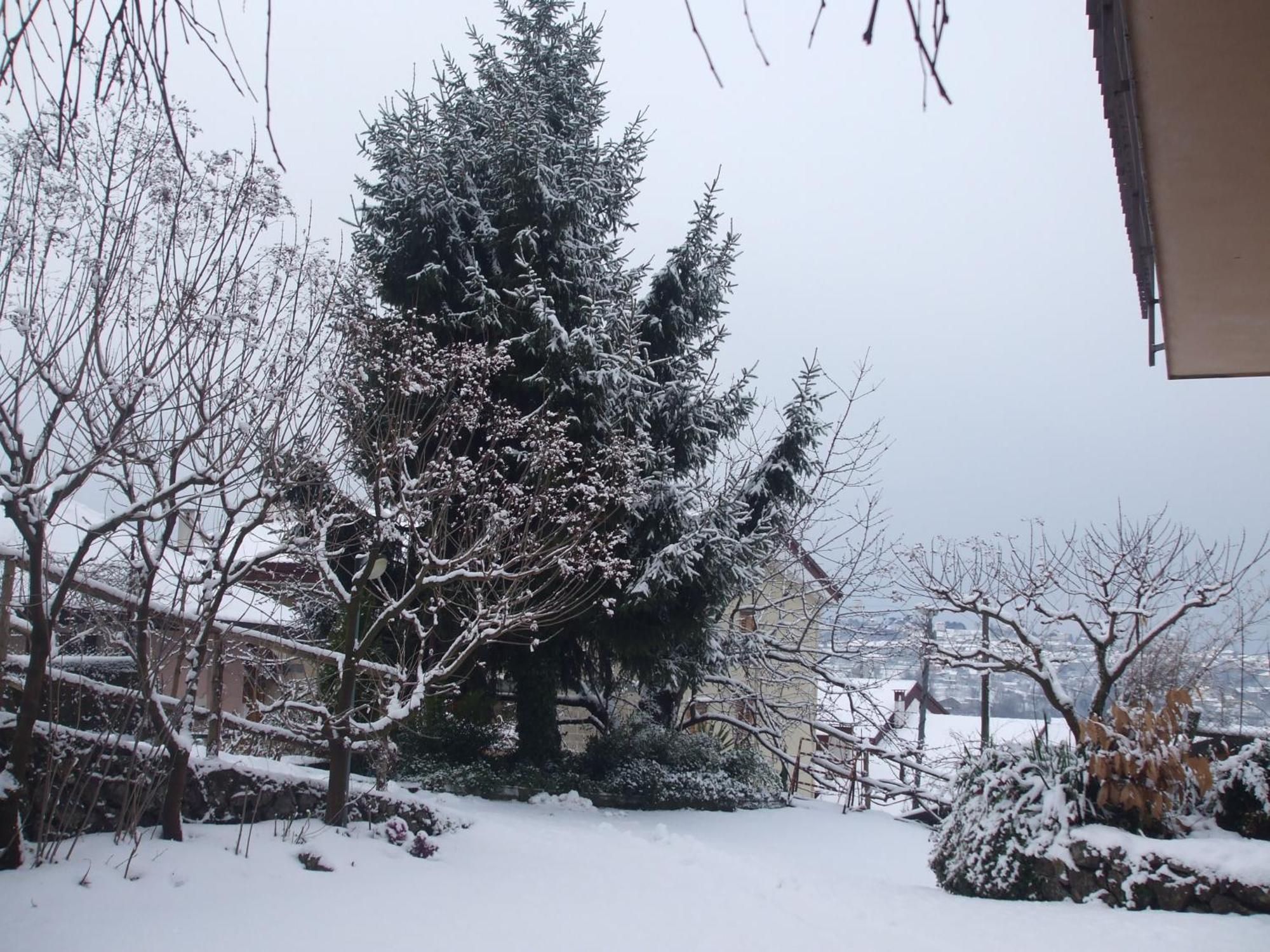 Agriturismo Nonno Tobia Аджерола Экстерьер фото