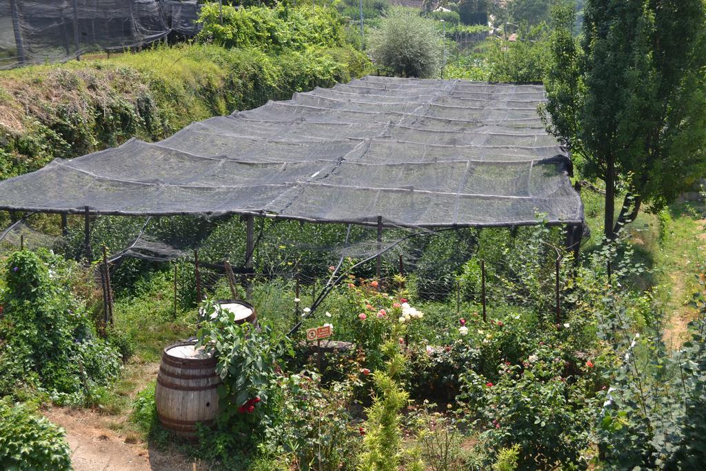 Agriturismo Nonno Tobia Аджерола Экстерьер фото
