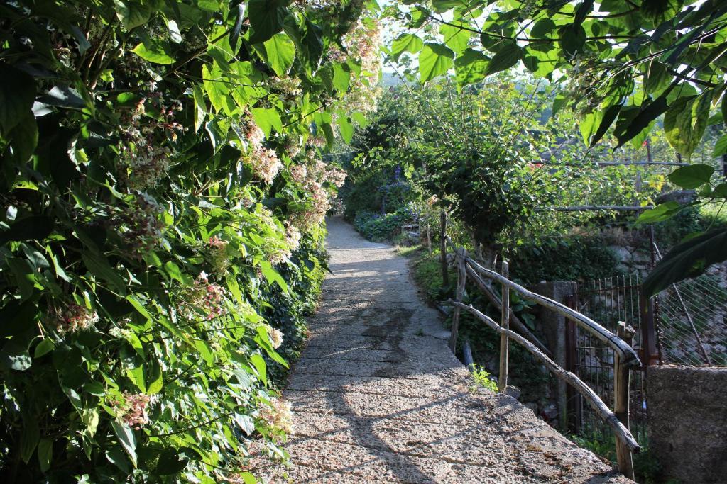 Agriturismo Nonno Tobia Аджерола Экстерьер фото